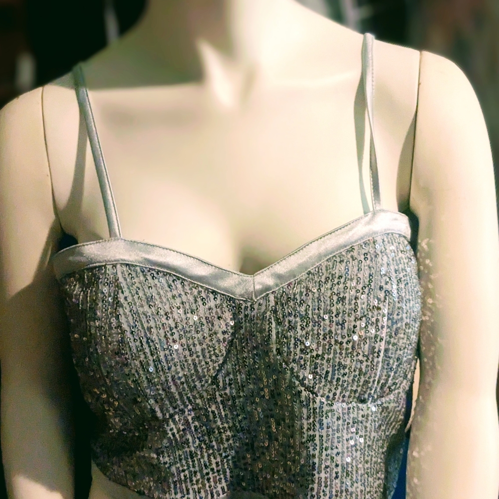 Silver Sequin Bustier Top